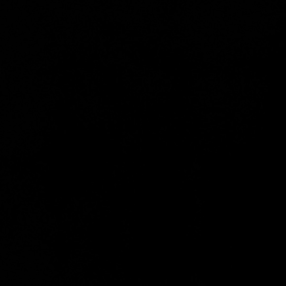 Meet your Posher, Anastasia - Picture 1 of 1